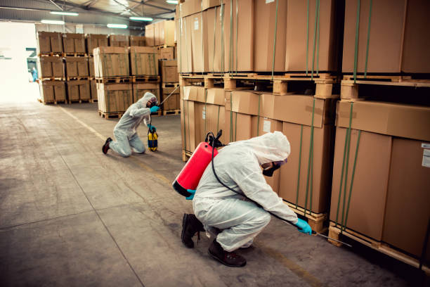 Best Wildlife Control Services  in Timberville, VA