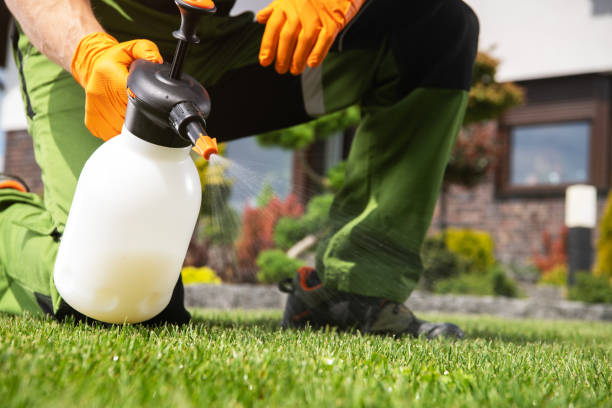 Best Rat Extermination Near Me  in Timberville, VA