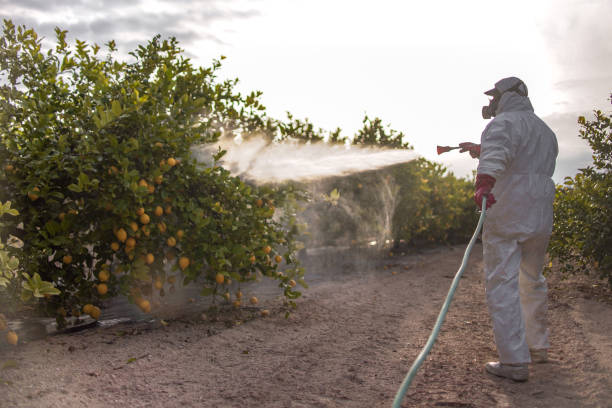 Best Exterminator Services  in Timberville, VA