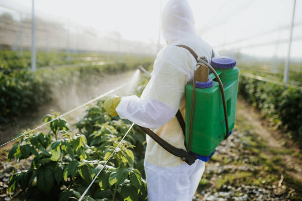 Best Commercial Pest Control Services  in Timberville, VA